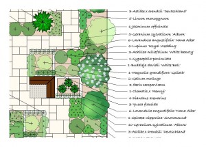 Garden design planting plan